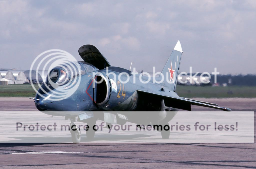 http://i313.photobucket.com/albums/ll364/slijfie/yak38U.jpg