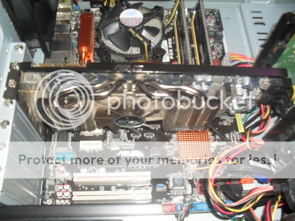SDC10554.jpg