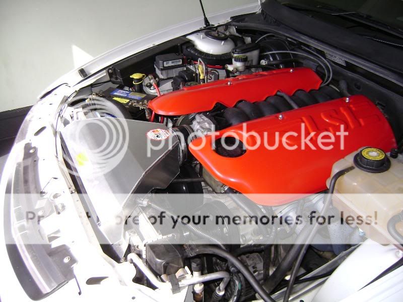 SHOW US YOUR SHINY ENGINE BAYS AND OTRCAI's + MODS Page 6