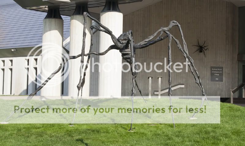 IMAGE: http://i313.photobucket.com/albums/ll385/kscuda/canon/d77095ab.jpg