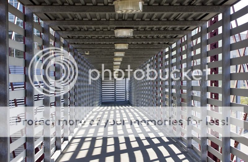 IMAGE: http://i313.photobucket.com/albums/ll385/kscuda/misc/2012November320121103_0016_zps2e03e9cc.jpg