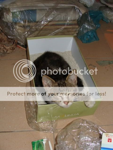 图片点击可在新窗口打开查看