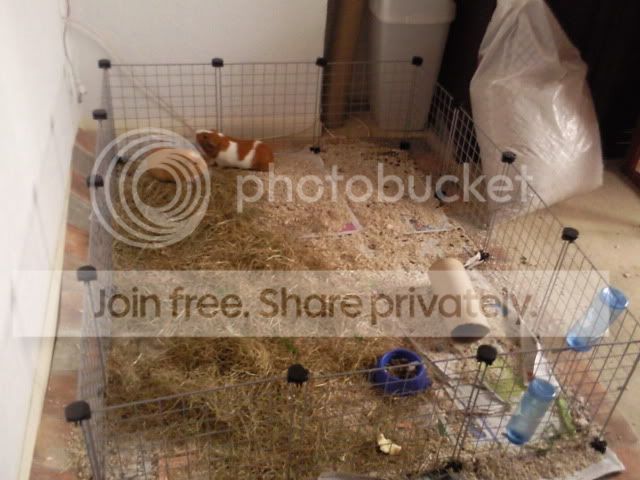 CopyofPhoto0076.jpg