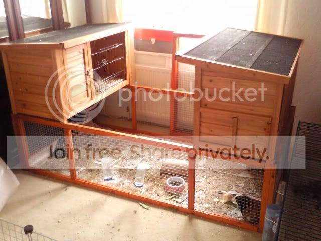 CopyofPhoto0078.jpg