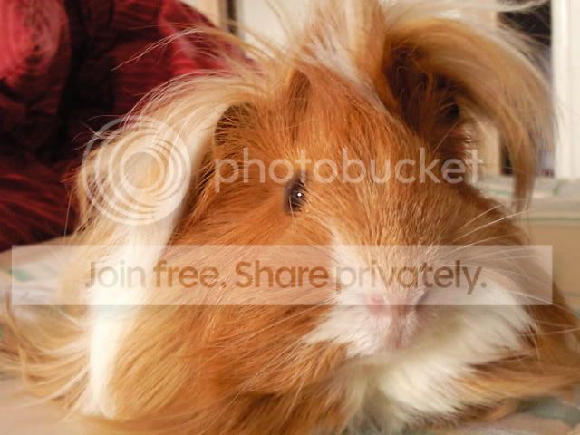 CopyofPhoto0090.jpg
