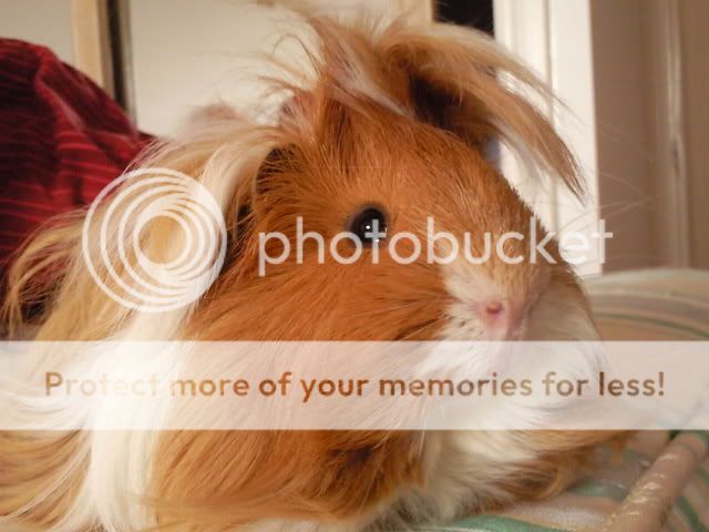 CopyofPhoto0092.jpg