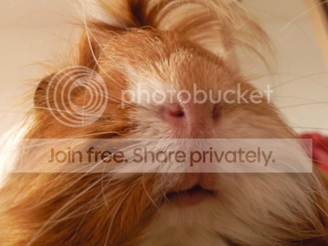CopyofPhoto0093.jpg