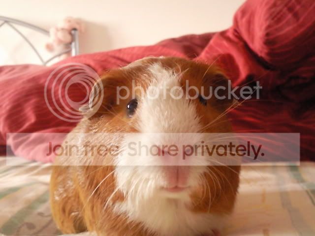 CopyofPhoto0094.jpg