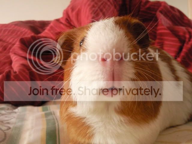 CopyofPhoto0099.jpg