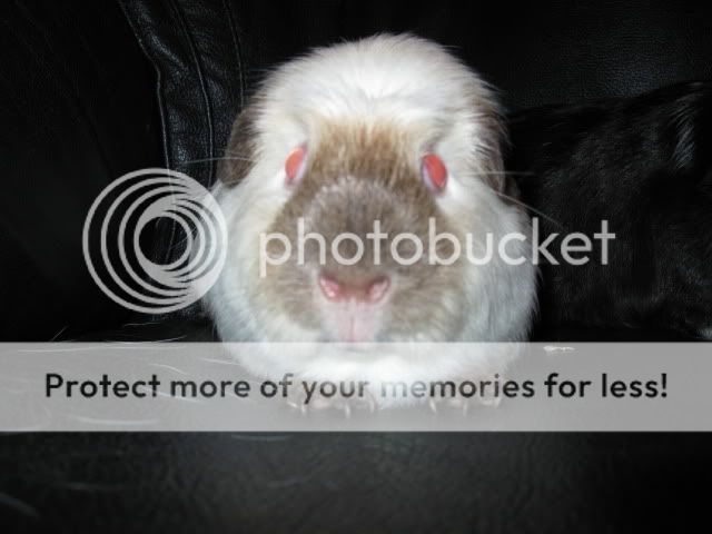 IMG_0001.jpg