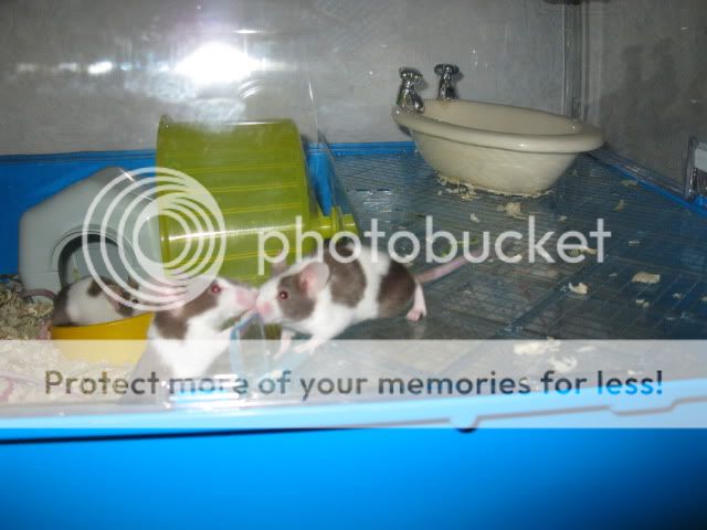 IMG_0036.jpg