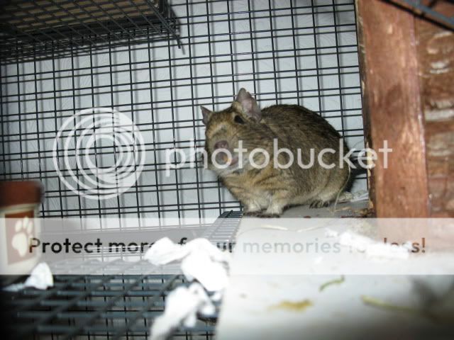 IMG_0042.jpg