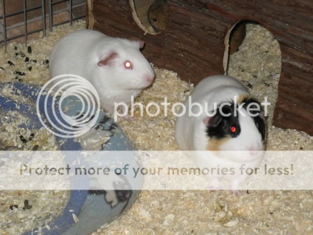 IMG_0046.jpg