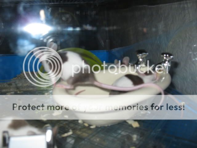 IMG_0072.jpg