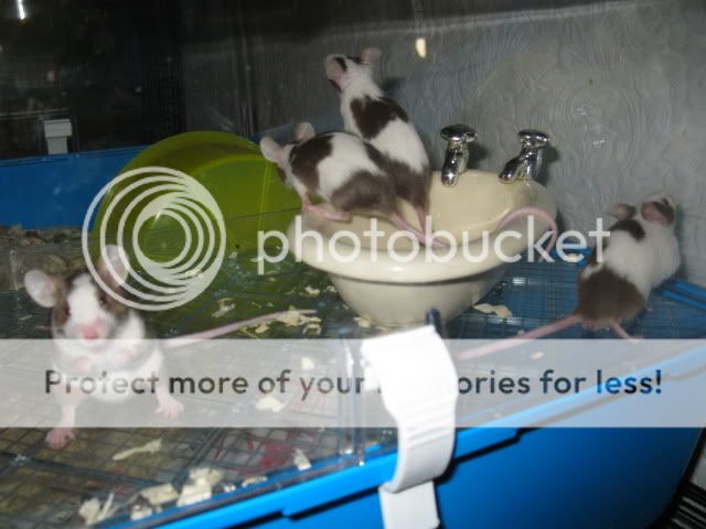 IMG_0073.jpg