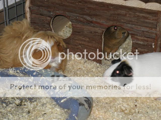 IMG_0079.jpg
