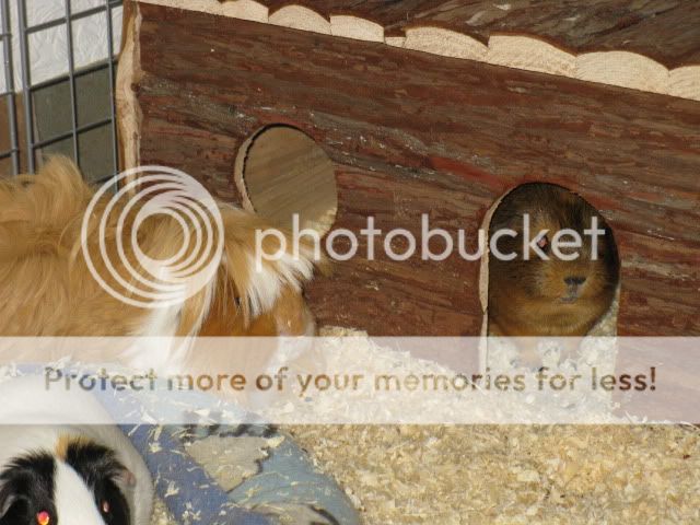 IMG_0084.jpg