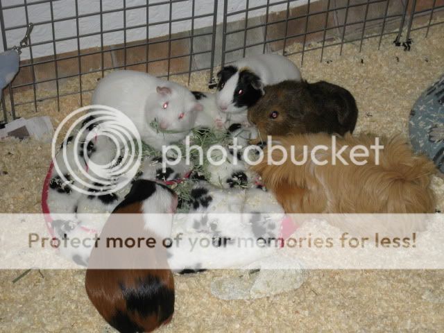 IMG_0092.jpg