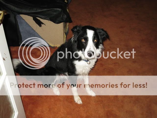 IMG_0101.jpg