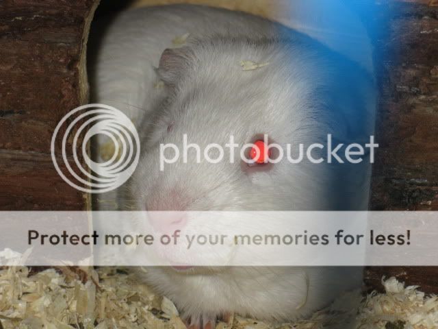 IMG_0104.jpg