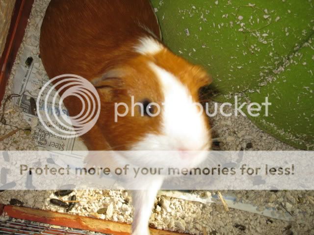 IMG_0510.jpg