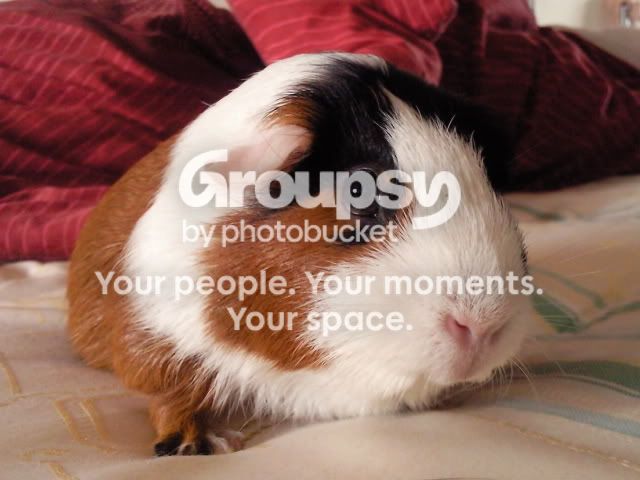 Photo0112.jpg