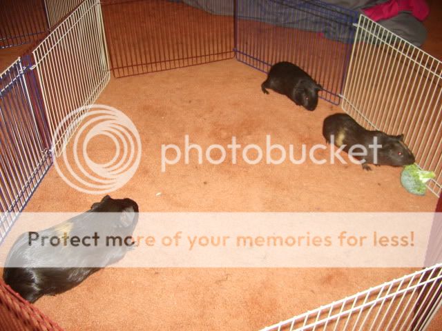 S6000749.jpg