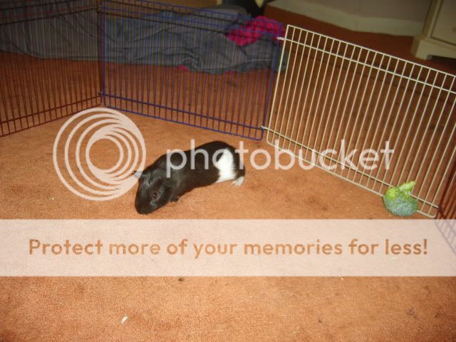 S6000753.jpg