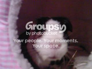 SP_A0409-1.jpg
