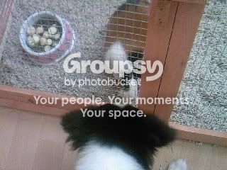 SP_A0476.jpg
