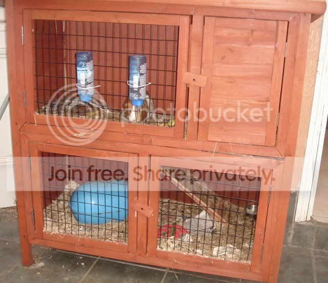 cage.jpg